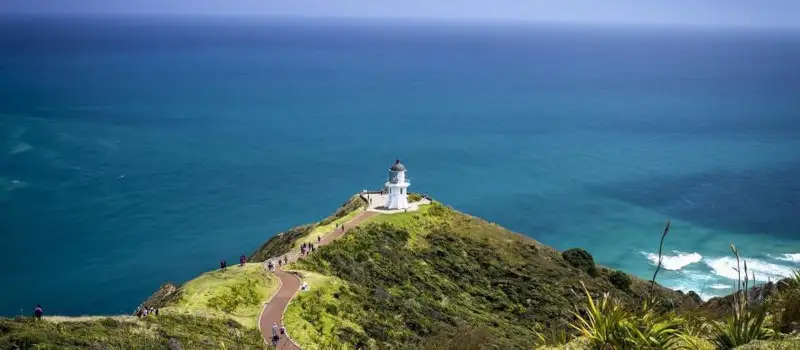 Bay of Islands Tour Deals