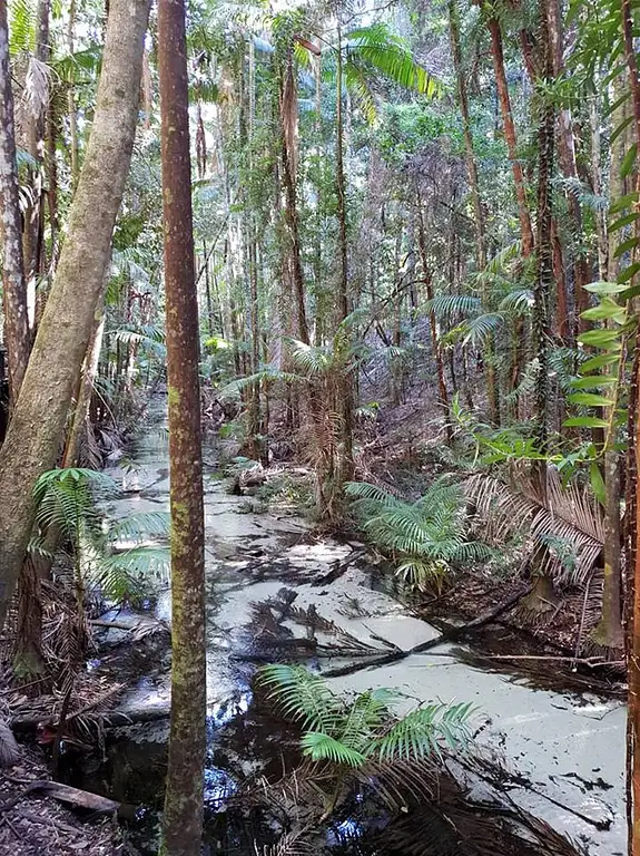 Fraser Island 4WD Tour