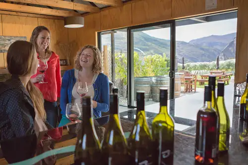 best nz wine tour
