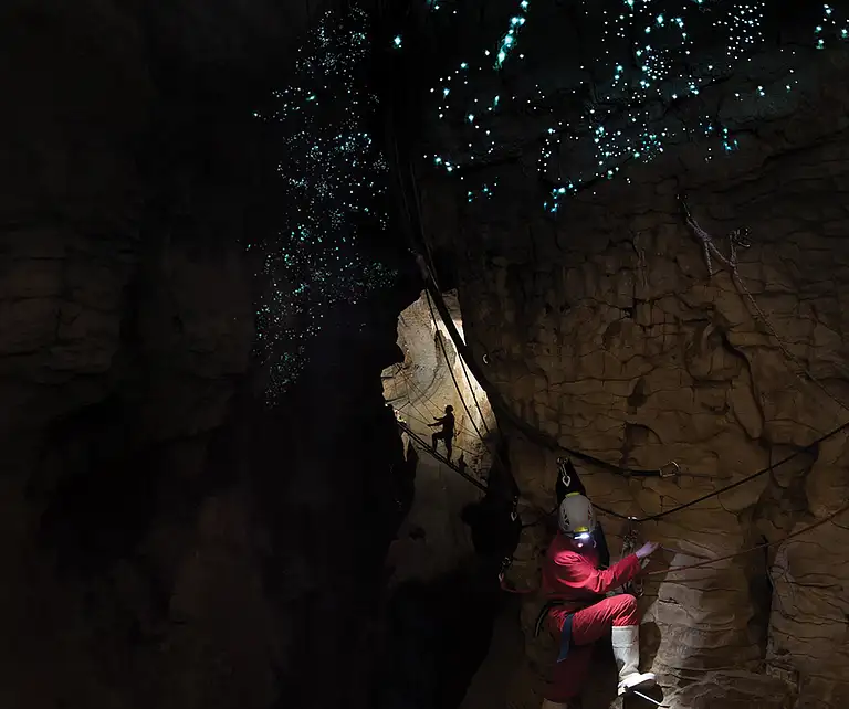 Waitomo rafting deals