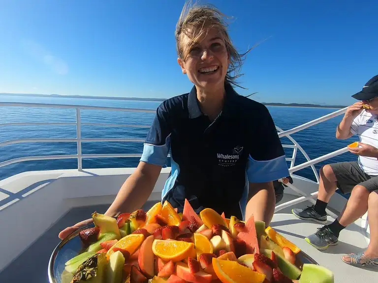 Whale watch Hervey Bay