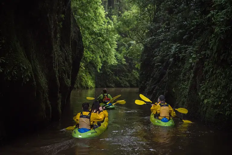 day guided kayak tours