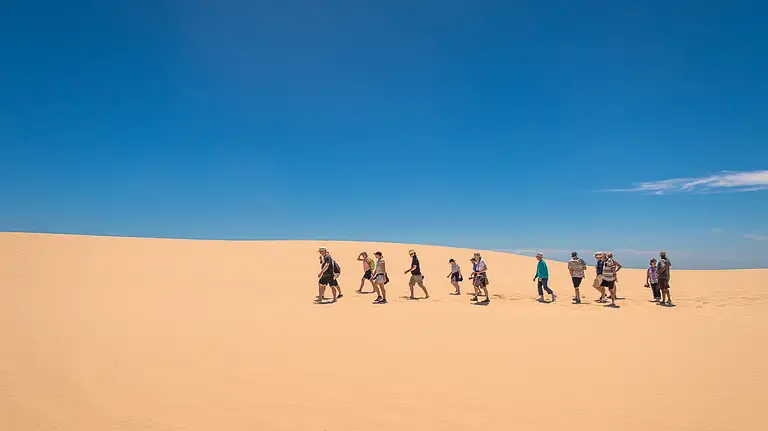 Coorong Adventure Cruise