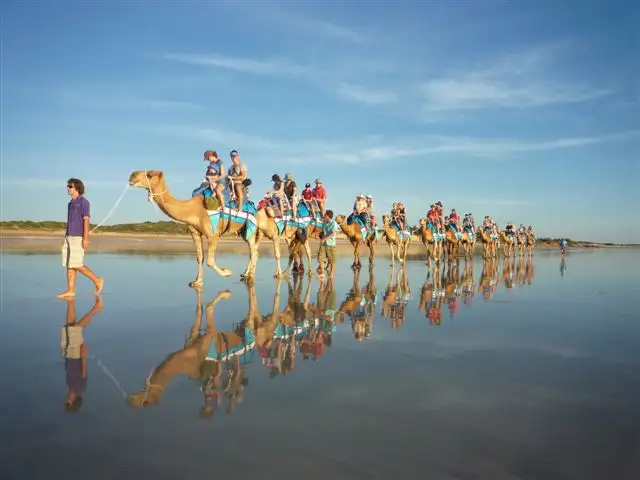 Broome camel tour deals
