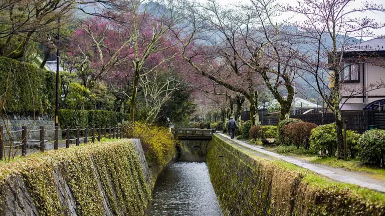 Japan deals