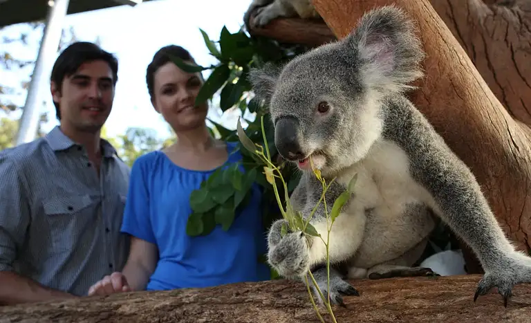 Taronga Zoo