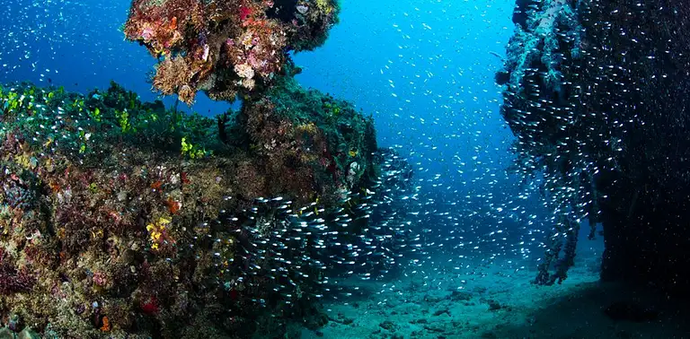Ningaloo Reef tour