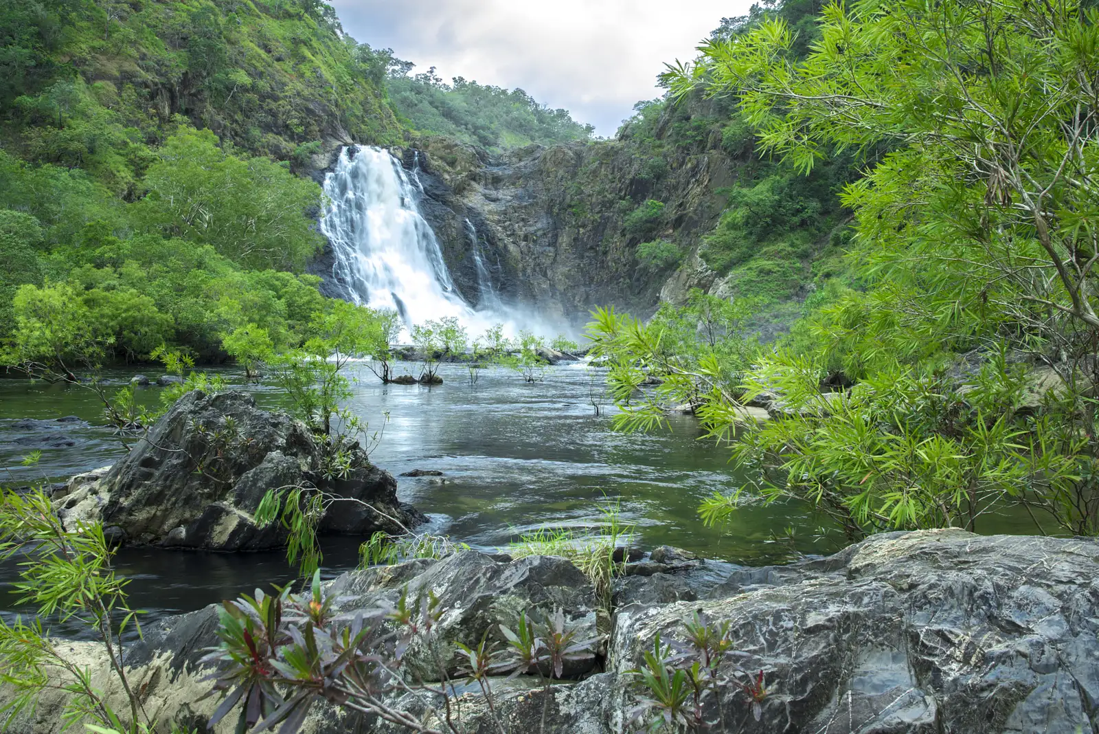 Full Day 4WD Cooktown Tour