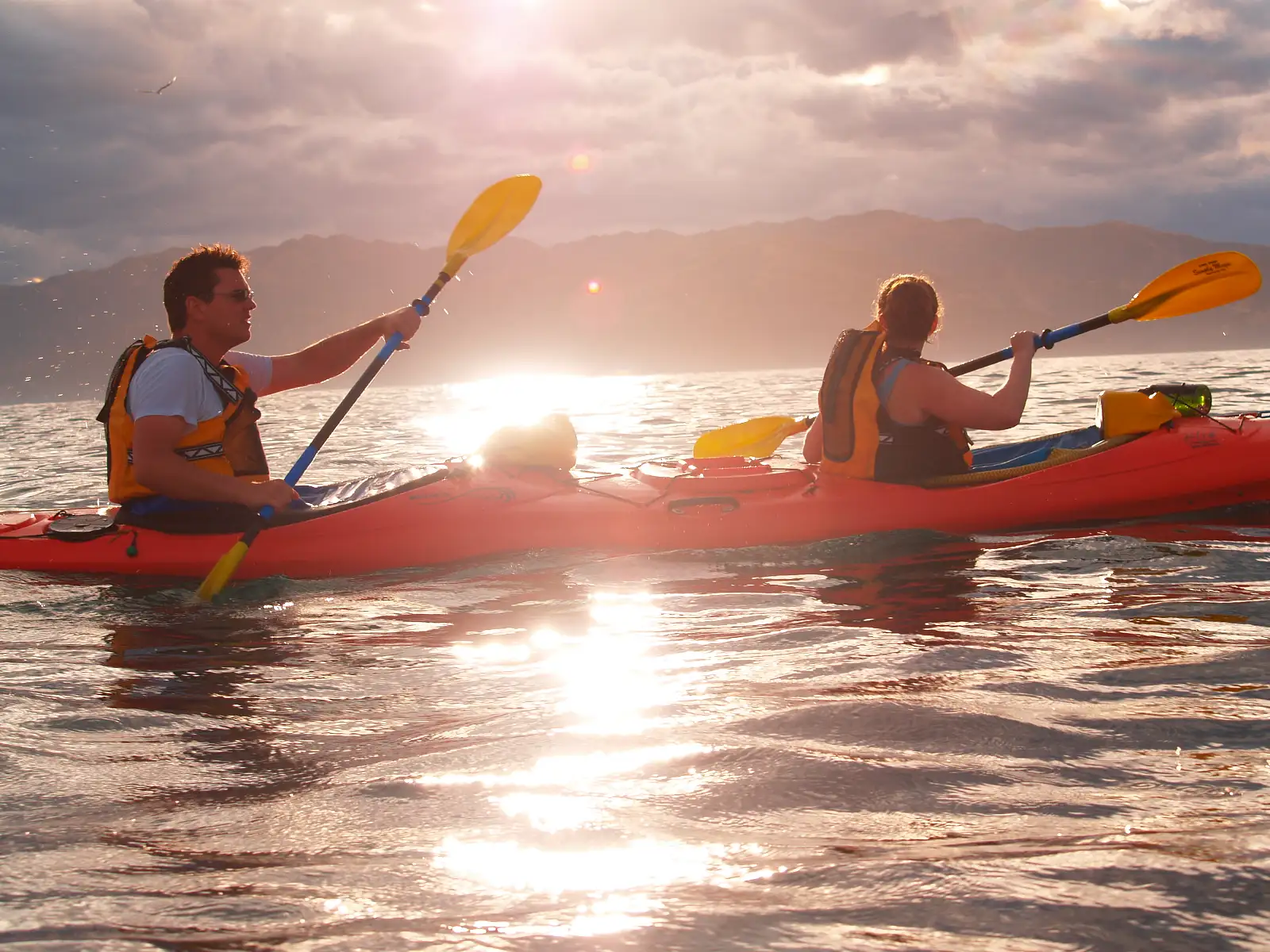 Kaikoura Sunset Kayak Tour