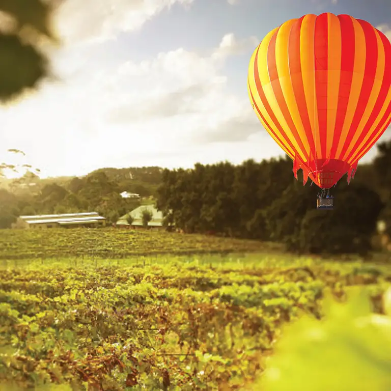 Gold Coast Hot Air Ballooning