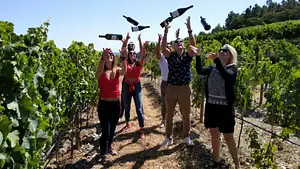 Small Group Tour of Douro Valley | From Porto