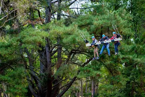 Mount Lofty Rock Climbing, Zipline & Mega Swing Experience