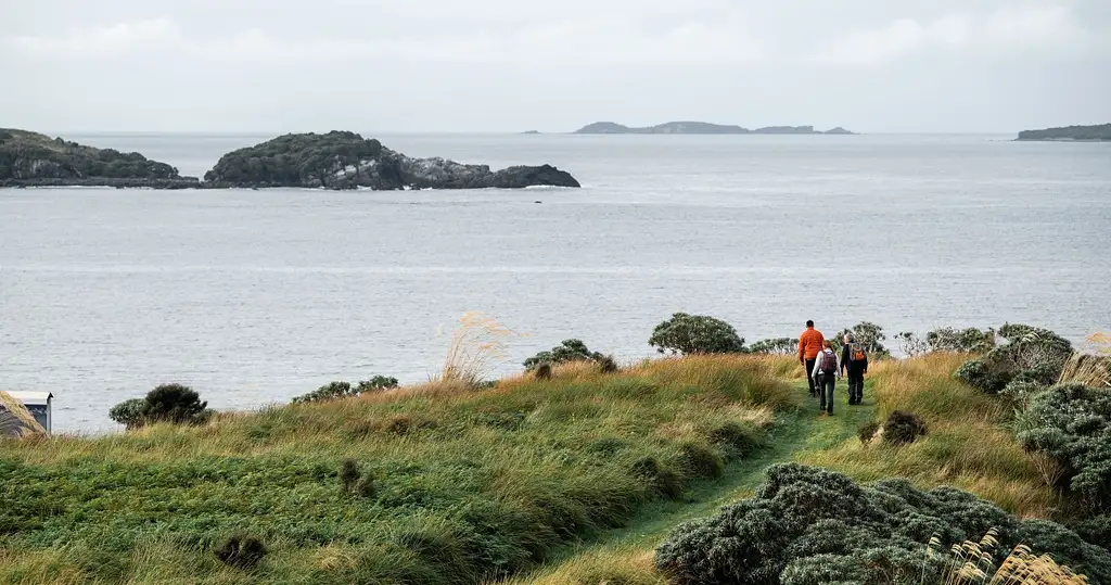 Stewart Island Guided Wilderness Walk