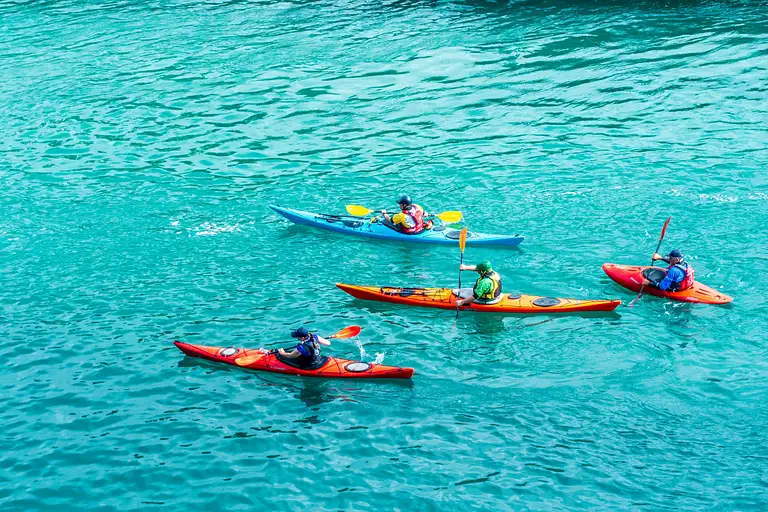 Guided Kayak Adventure on the Canning River in Perth
