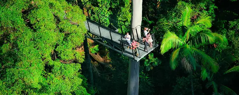 Tamborine rainforest skywalk + hop on hop off pass