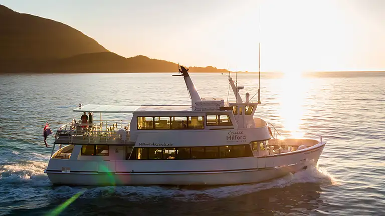Premium Milford Sound Small-Group Tour Deals