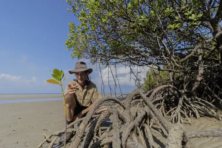 2-Day Cooktown and Daintree Tour