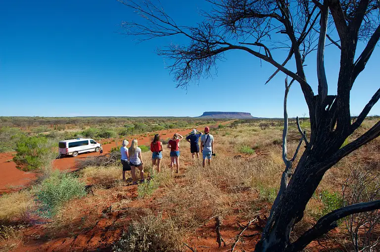 Mt Conner 4WD Outback Adventure