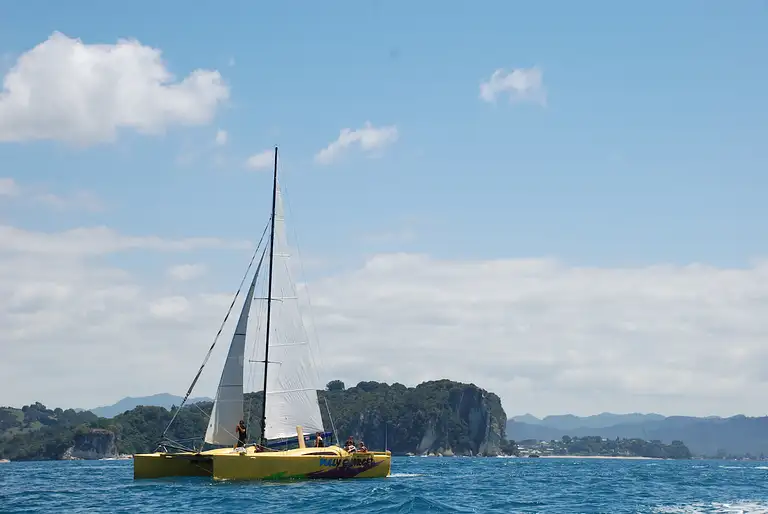 Morning Glory Chilled-out Coromandel Sail Discount