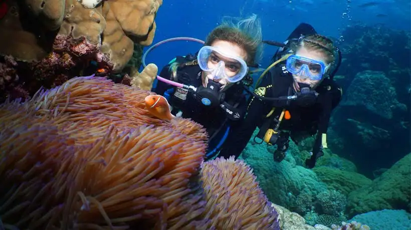 Port Douglas PADI Certification