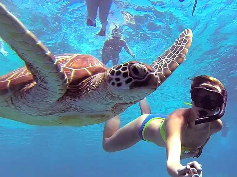 Best Bali Tour
