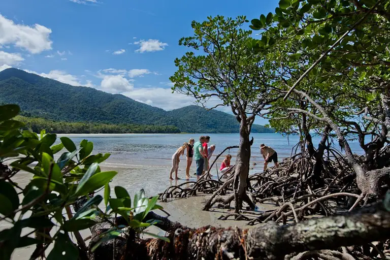 Cape Tribulation, Daintree, Mossman Gorge Day Tour