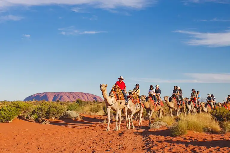 Camel Uluru Tour