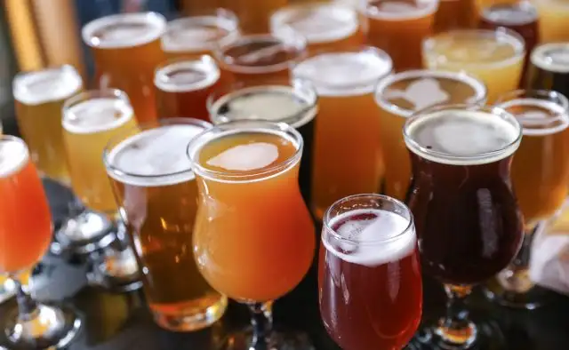 sydney craft beer tours