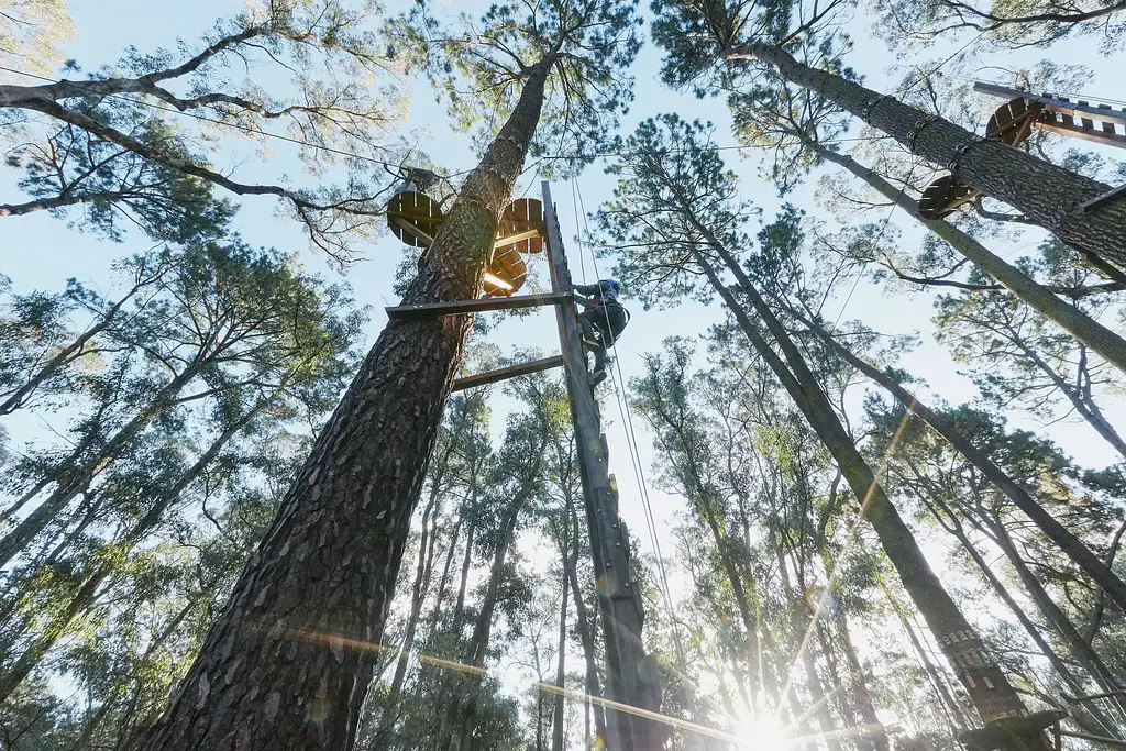 Forest Adventures South West