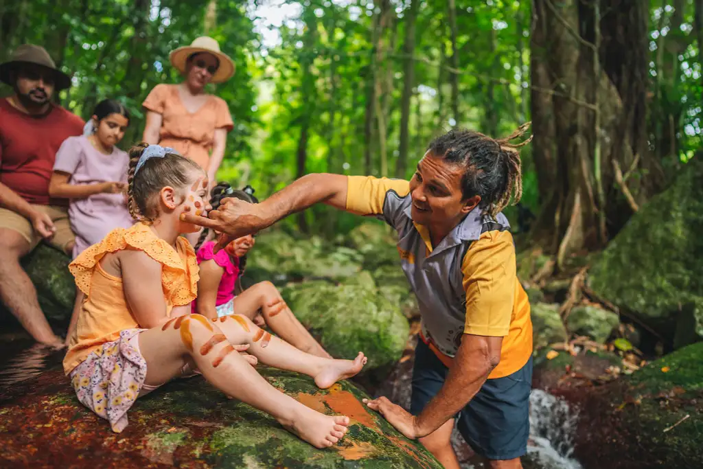 Daintree Walkabout