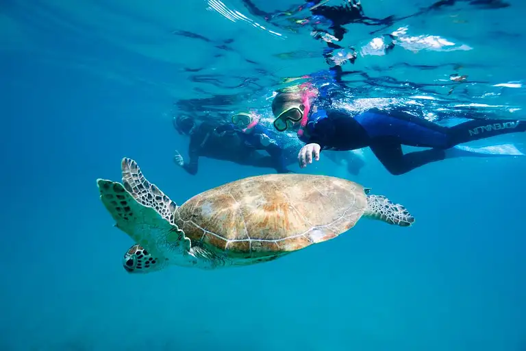 Great Keppel Island Day Trip Including Lunch Deals