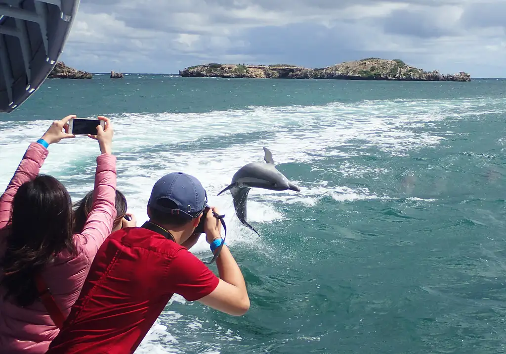 Margaret River and Wildife Day tour | From Perth
