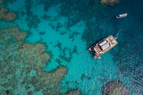 Great Barrier Reef Snorkelling with Turtles and Marine Life