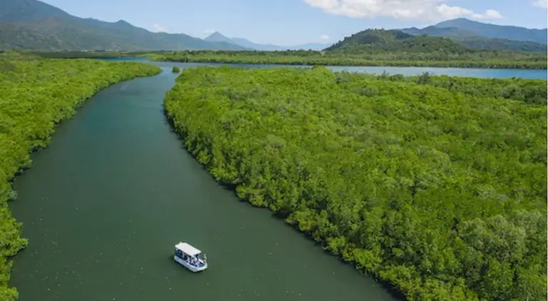 Cairns River Cruise & City Sights Tour Deal