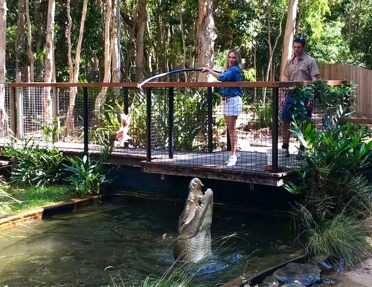 Big Croc Feed at Hartley's Crocodile Adventures Palm Cove