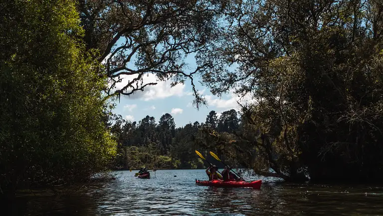 Lake Rotoiti Kayak Tour
