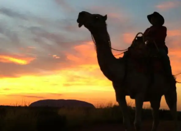 Uluru Sunrise Camel Experience Deals