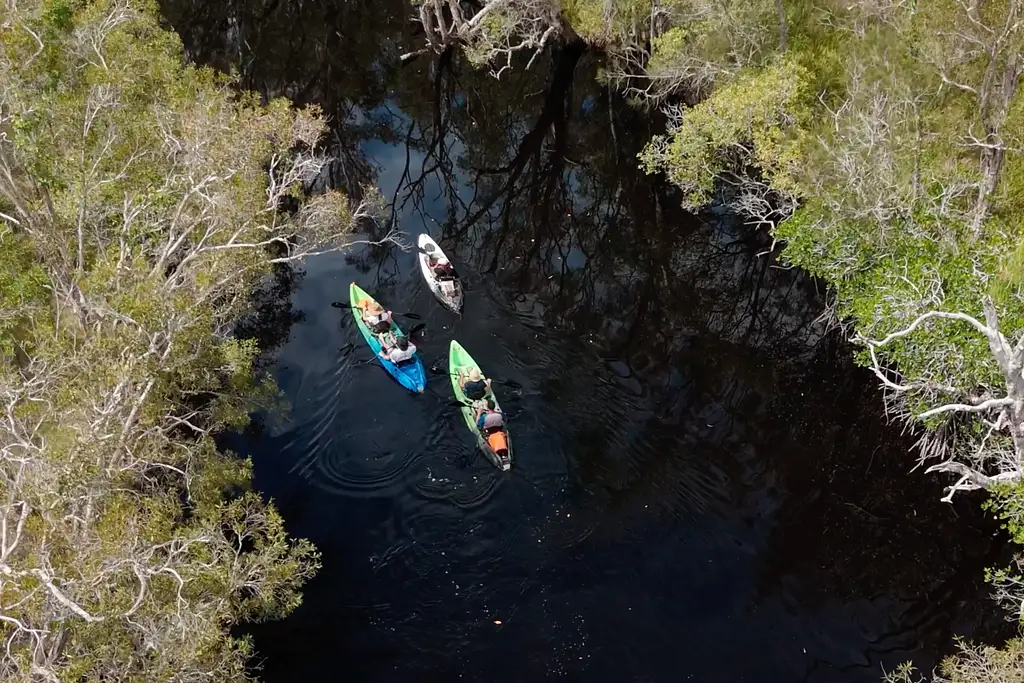 Stingrays & Noosa Everglades Self-Guided Kayak Tour