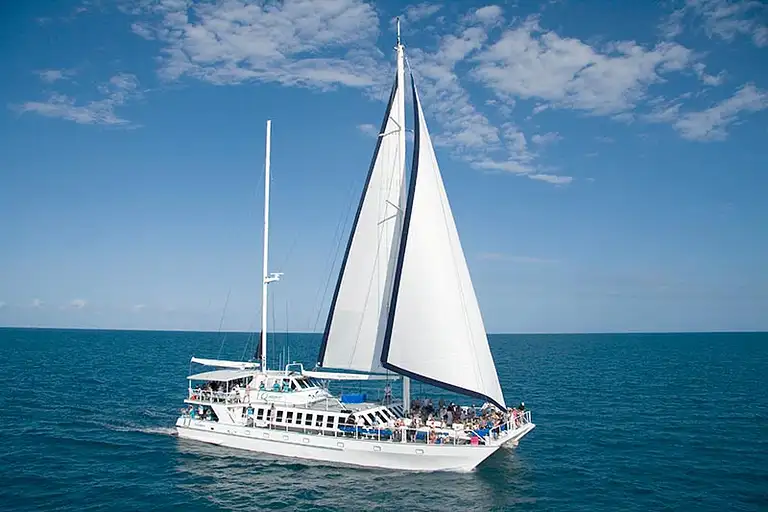 wavedancer-cruise-ship.jpg