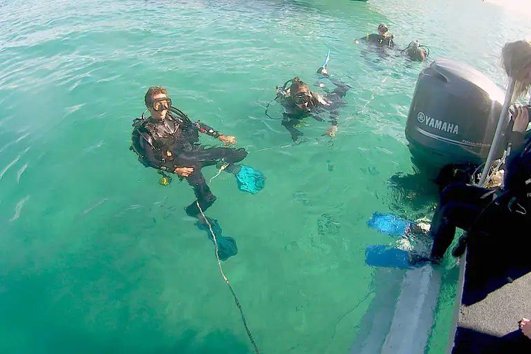 Gold Coast Single Dive Discount