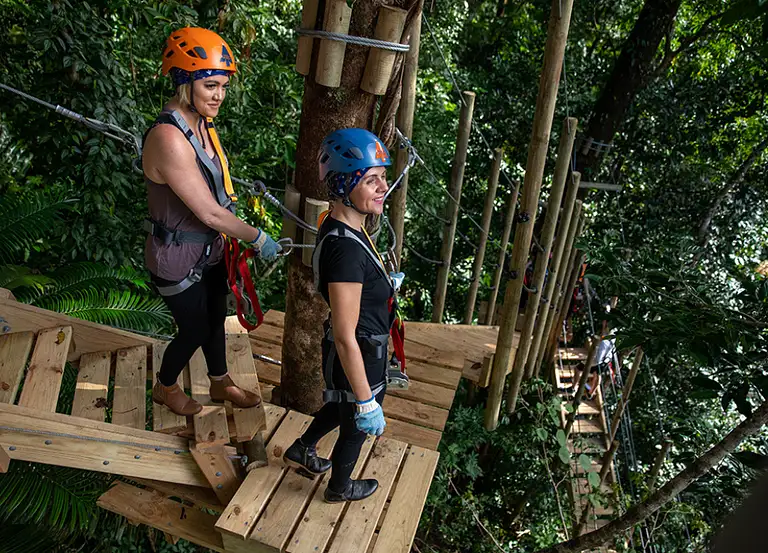 Zipline Tour Cape Tribulation Discount