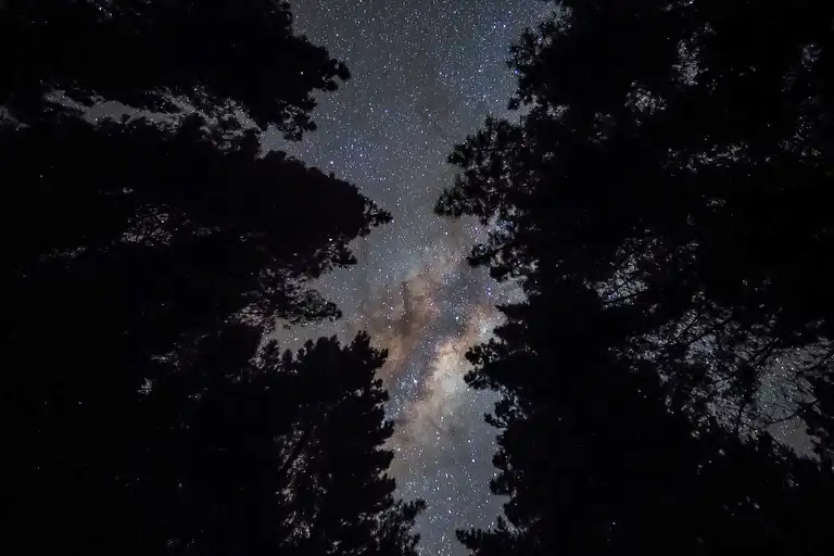NZ Glowworm tours