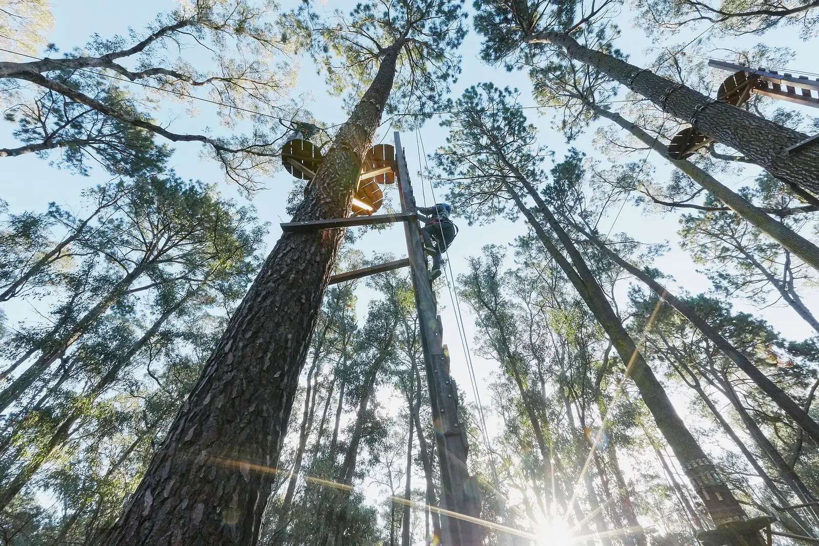 Forest Adventures South West