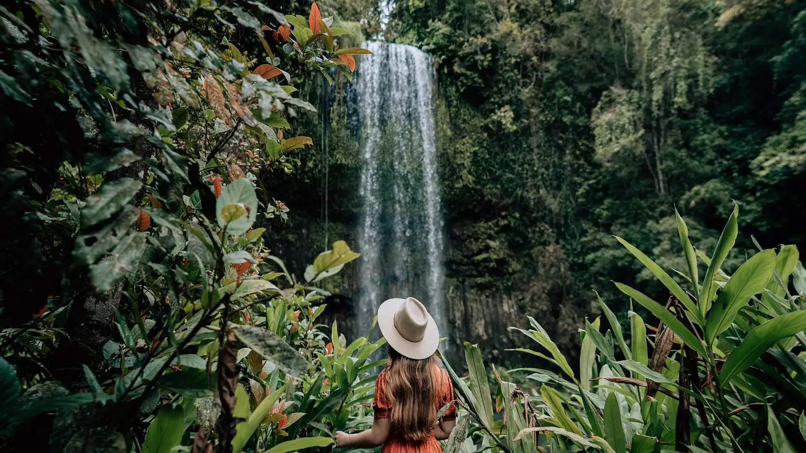 Cairns Waterfall Wanderers Tour at Millaa Millaa Falls in Atherton Tablelands