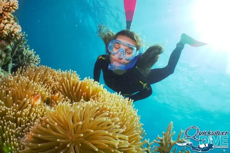 Great Barrier Reef Dive Trip