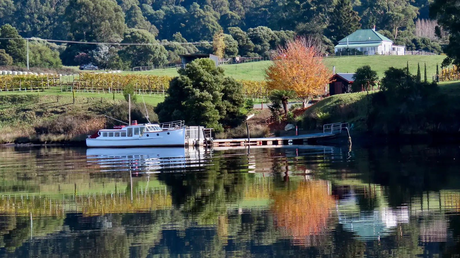 Cruises in Tasmania
