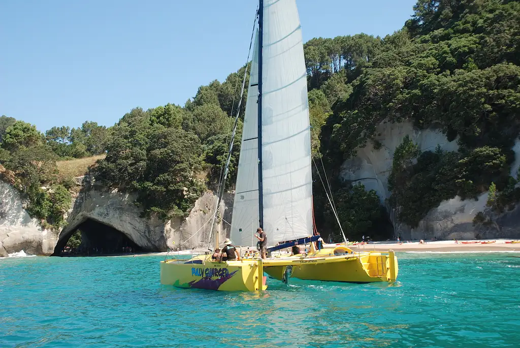 Morning Glory Chilled-out Coromandel Sail