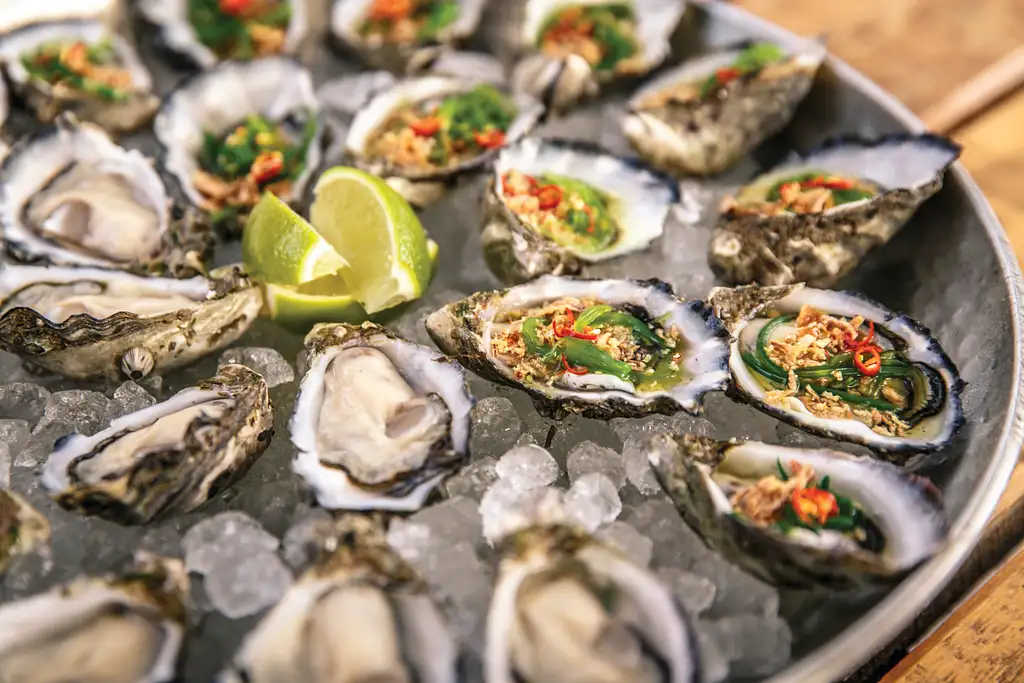 Coffin Bay Oyster Farm Tour