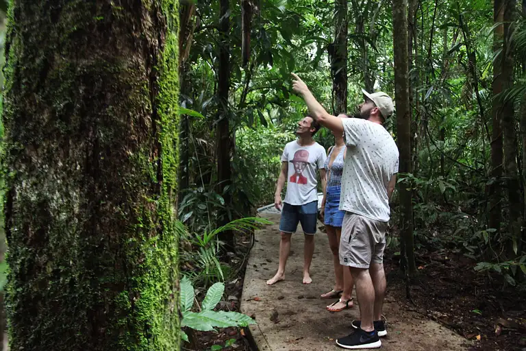 Josephine Falls Natural Rockslide Adventure Tropical North Queensland