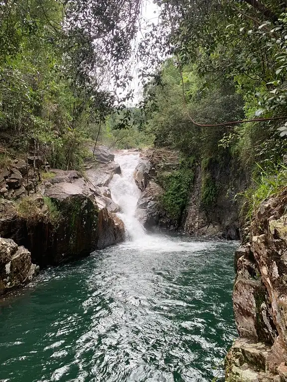 Finch hatton Gorge tour